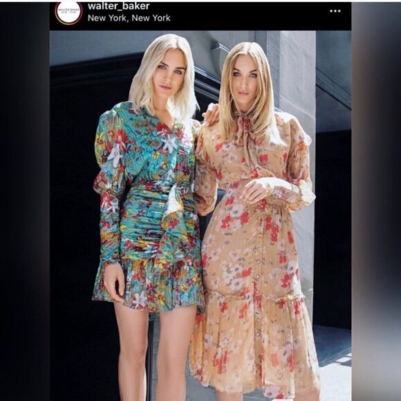 Walter baker | Artur chiffon midi dress in Poppy Paradise - Picture 12 of 15